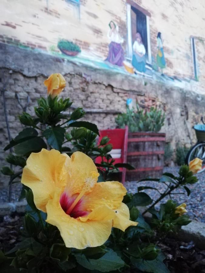 Centu Concas Bed & Breakfast Muravera Dış mekan fotoğraf